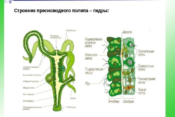 Кракен сайт наркотиков