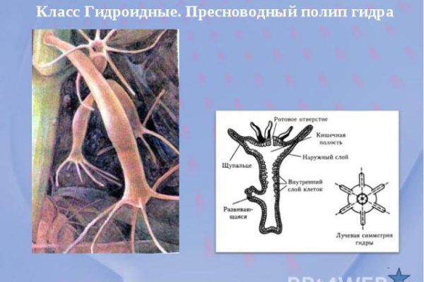 Кракен сайт зеркало рабочее на сегодня